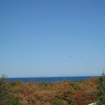 Apartment Zlata Porec